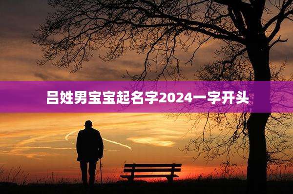 吕姓男宝宝起名字2024一字开头