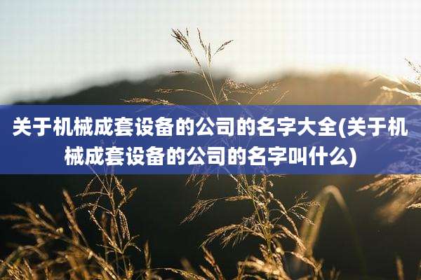 关于机械成套设备的公司的名字大全(关于机械成套设备的公司的名字叫什么)