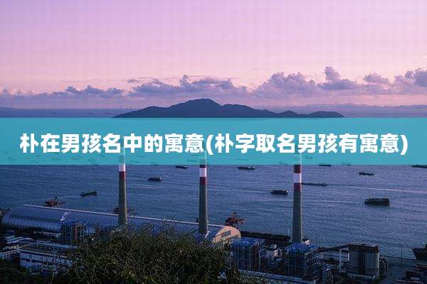 朴在男孩名中的寓意(朴字取名男孩有寓意)