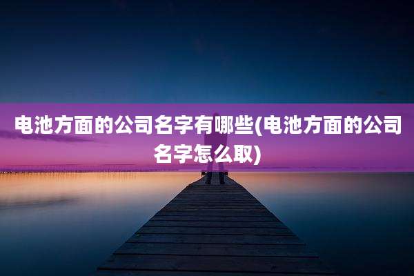 电池方面的公司名字有哪些(电池方面的公司名字怎么取)
