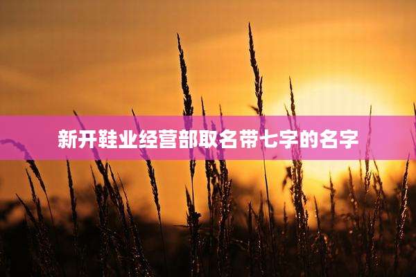 新开鞋业经营部取名带七字的名字