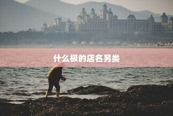 什么极的店名另类