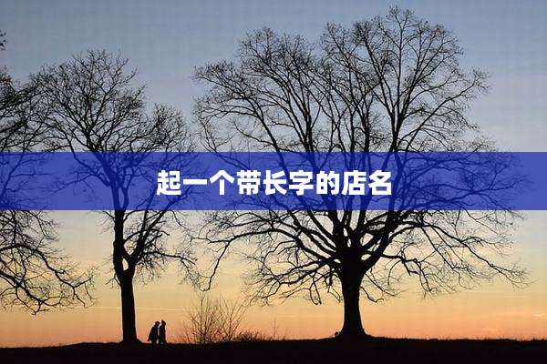 起一个带长字的店名