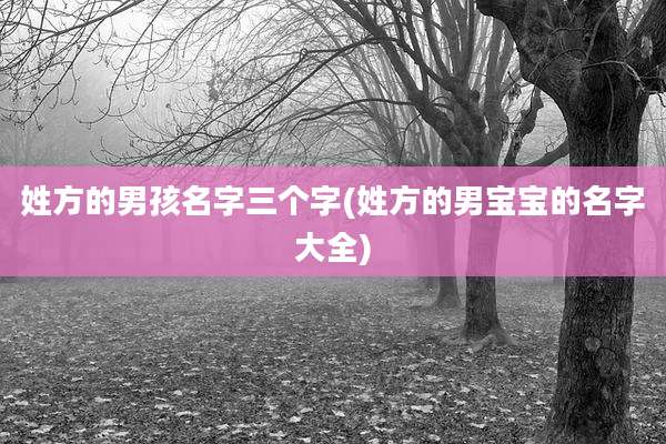姓方的男孩名字三个字(姓方的男宝宝的名字大全)