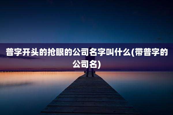 普字开头的抢眼的公司名字叫什么(带普字的公司名)