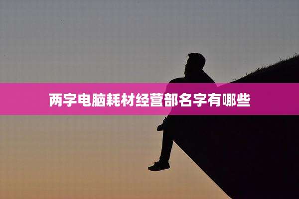 两字电脑耗材经营部名字有哪些