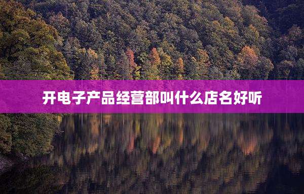 开电子产品经营部叫什么店名好听