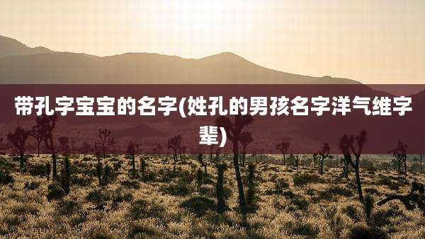 带孔字宝宝的名字(姓孔的男孩名字洋气维字辈)