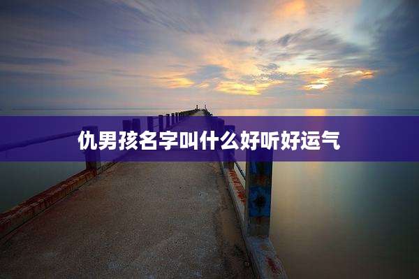 仇男孩名字叫什么好听好运气