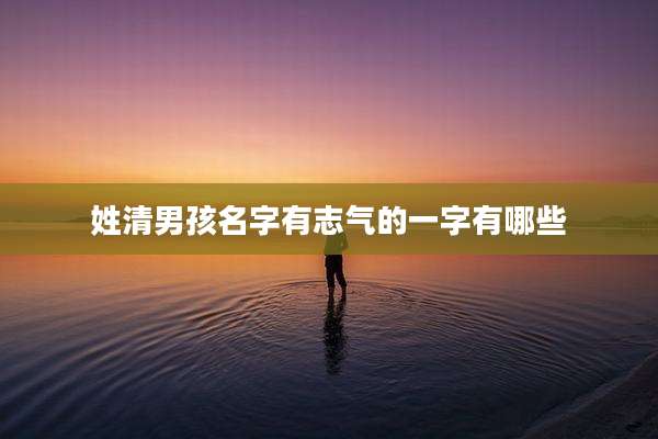 姓清男孩名字有志气的一字有哪些