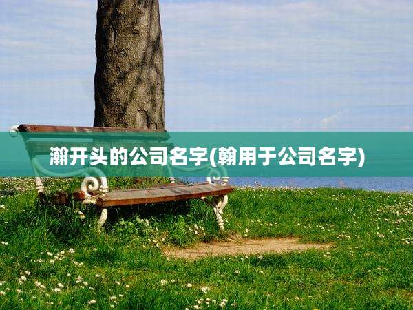 瀚开头的公司名字(翰用于公司名字)