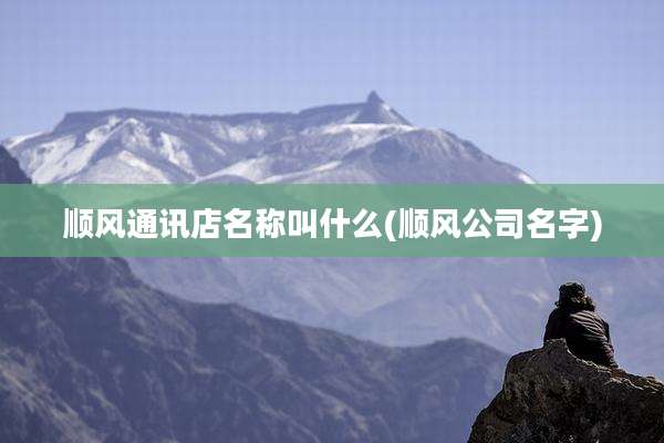 顺风通讯店名称叫什么(顺风公司名字)