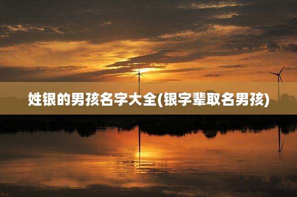 姓银的男孩名字大全(银字辈取名男孩)