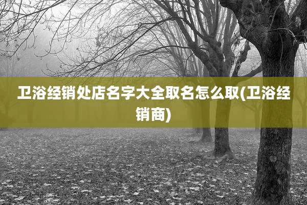 卫浴经销处店名字大全取名怎么取(卫浴经销商)