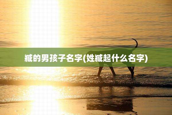 臧的男孩子名字(姓臧起什么名字)