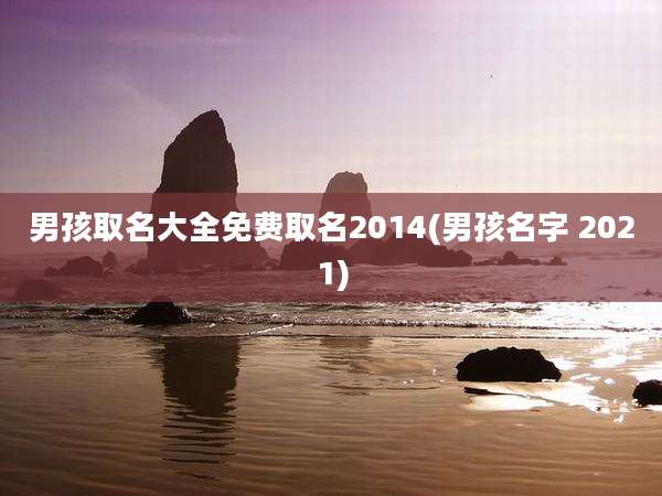 男孩取名大全免费取名2014(男孩名字 2021)