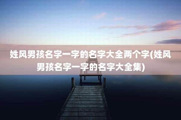 姓风男孩名字一字的名字大全两个字(姓风男孩名字一字的名字大全集)