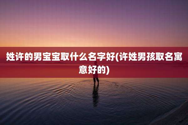 姓许的男宝宝取什么名字好(许姓男孩取名寓意好的)