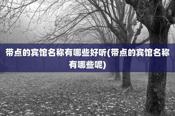 带点的宾馆名称有哪些好听(带点的宾馆名称有哪些呢)