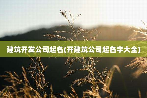 建筑开发公司起名(开建筑公司起名字大全)