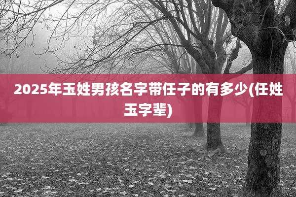 2025年玉姓男孩名字带任子的有多少(任姓玉字辈)