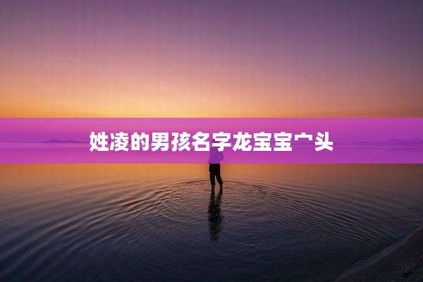 姓凌的男孩名字龙宝宝宀头