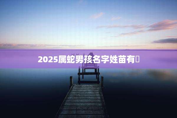 2025属蛇男孩名字姓苗有晞