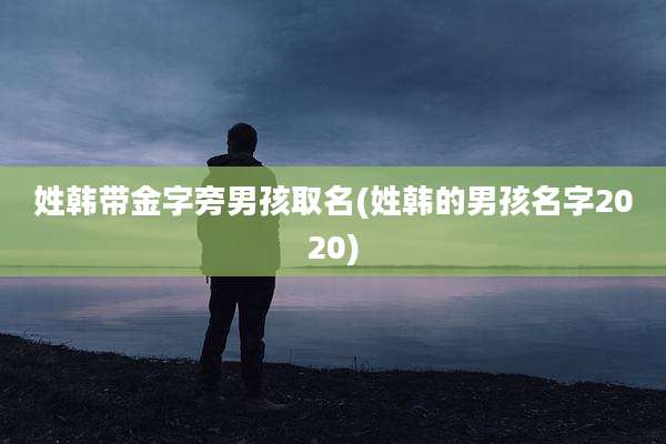 姓韩带金字旁男孩取名(姓韩的男孩名字2020)