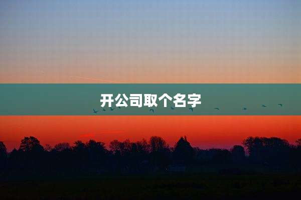 开公司取个名字