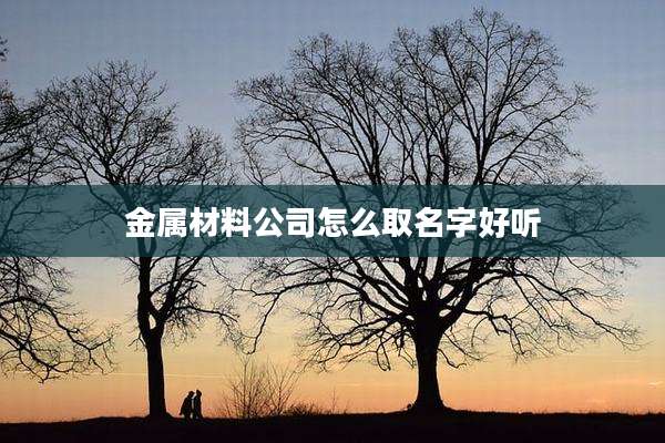 金属材料公司怎么取名字好听