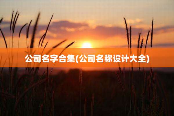 公司名字合集(公司名称设计大全)