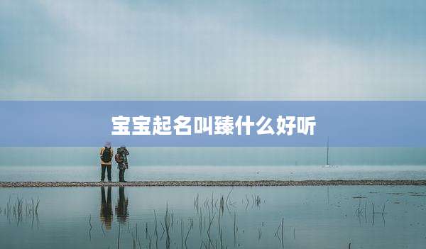 宝宝起名叫臻什么好听