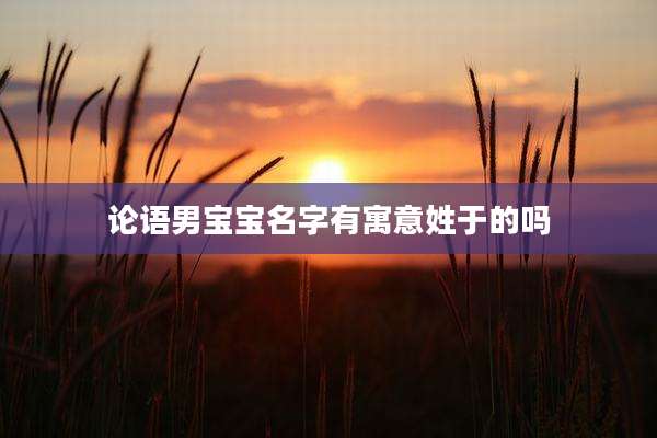 论语男宝宝名字有寓意姓于的吗