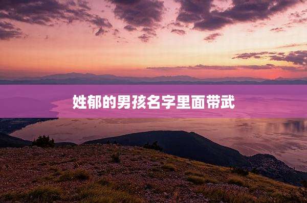 姓郁的男孩名字里面带武