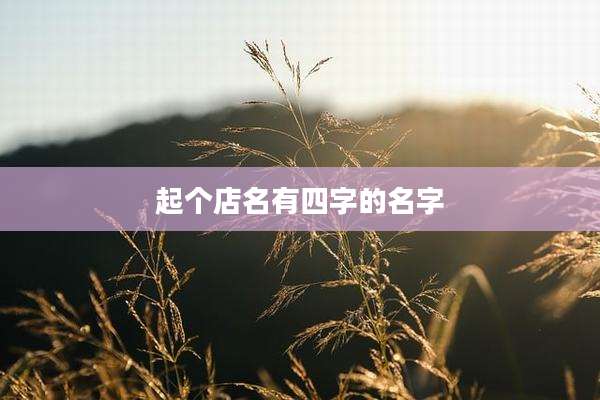 起个店名有四字的名字