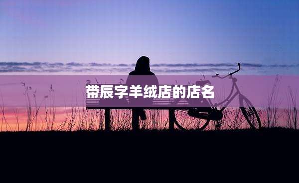带辰字羊绒店的店名