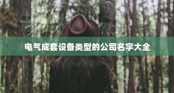 电气成套设备类型的公司名字大全