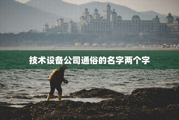 技术设备公司通俗的名字两个字