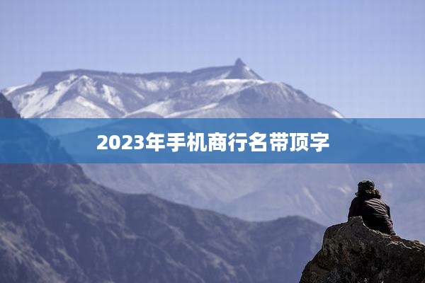 2023年手机商行名带顶字