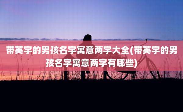 带英字的男孩名字寓意两字大全(带英字的男孩名字寓意两字有哪些)