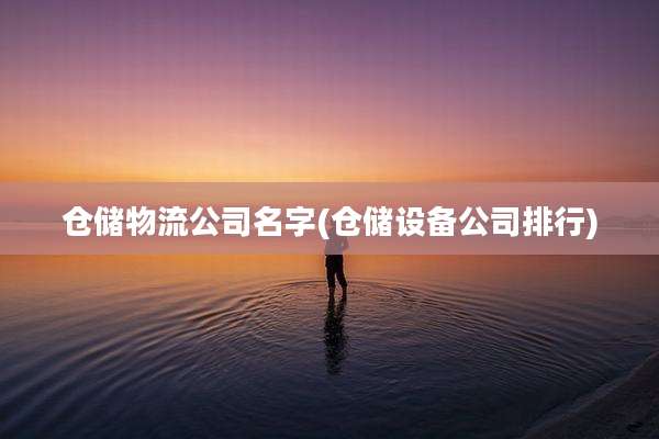 仓储物流公司名字(仓储设备公司排行)
