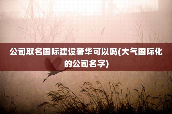 公司取名国际建设奢华可以吗(大气国际化的公司名字)