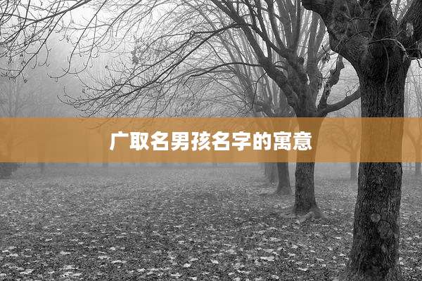 广取名男孩名字的寓意