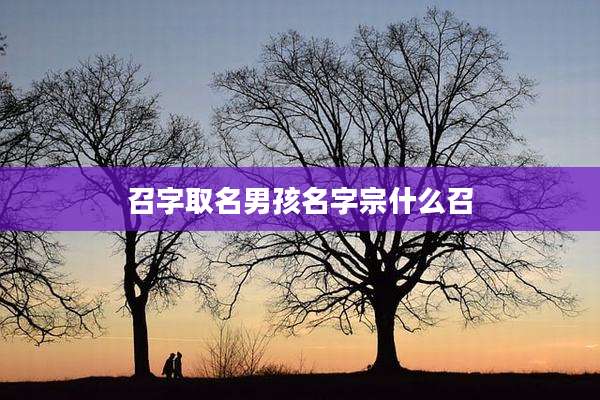 召字取名男孩名字宗什么召