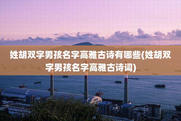 姓胡双字男孩名字高雅古诗有哪些(姓胡双字男孩名字高雅古诗词)