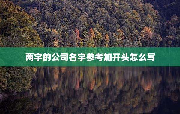 两字的公司名字参考加开头怎么写