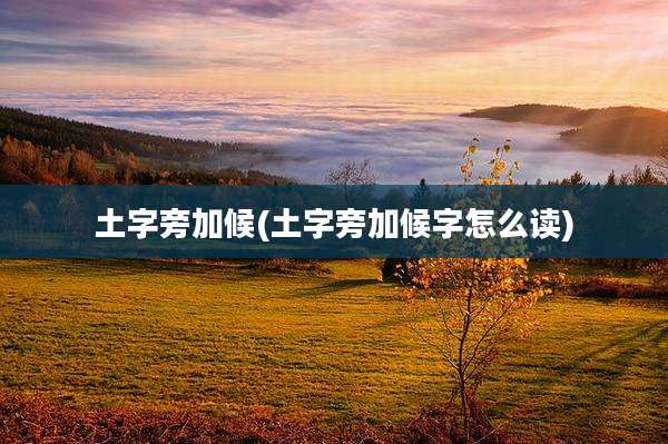 土字旁加候(土字旁加候字怎么读)