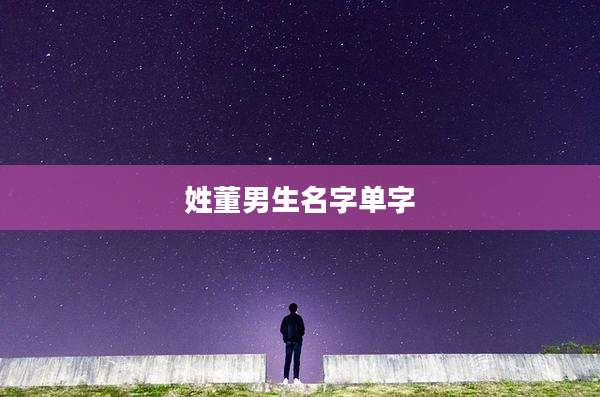 姓董男生名字单字