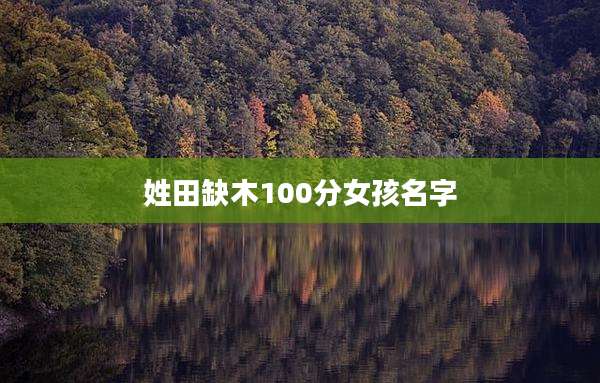 姓田缺木100分女孩名字