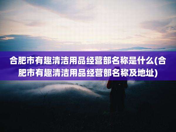 合肥市有趣清洁用品经营部名称是什么(合肥市有趣清洁用品经营部名称及地址)